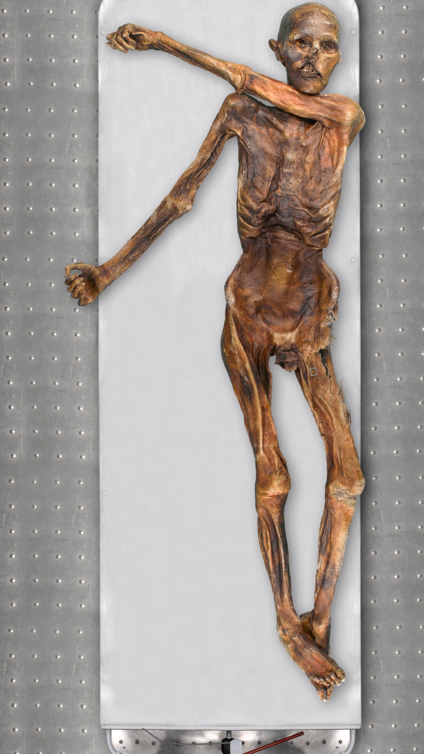 Fresh look at DNA from Oetzi the Iceman traces his roots to present day  Turkey | Fox 8 Cleveland WJW