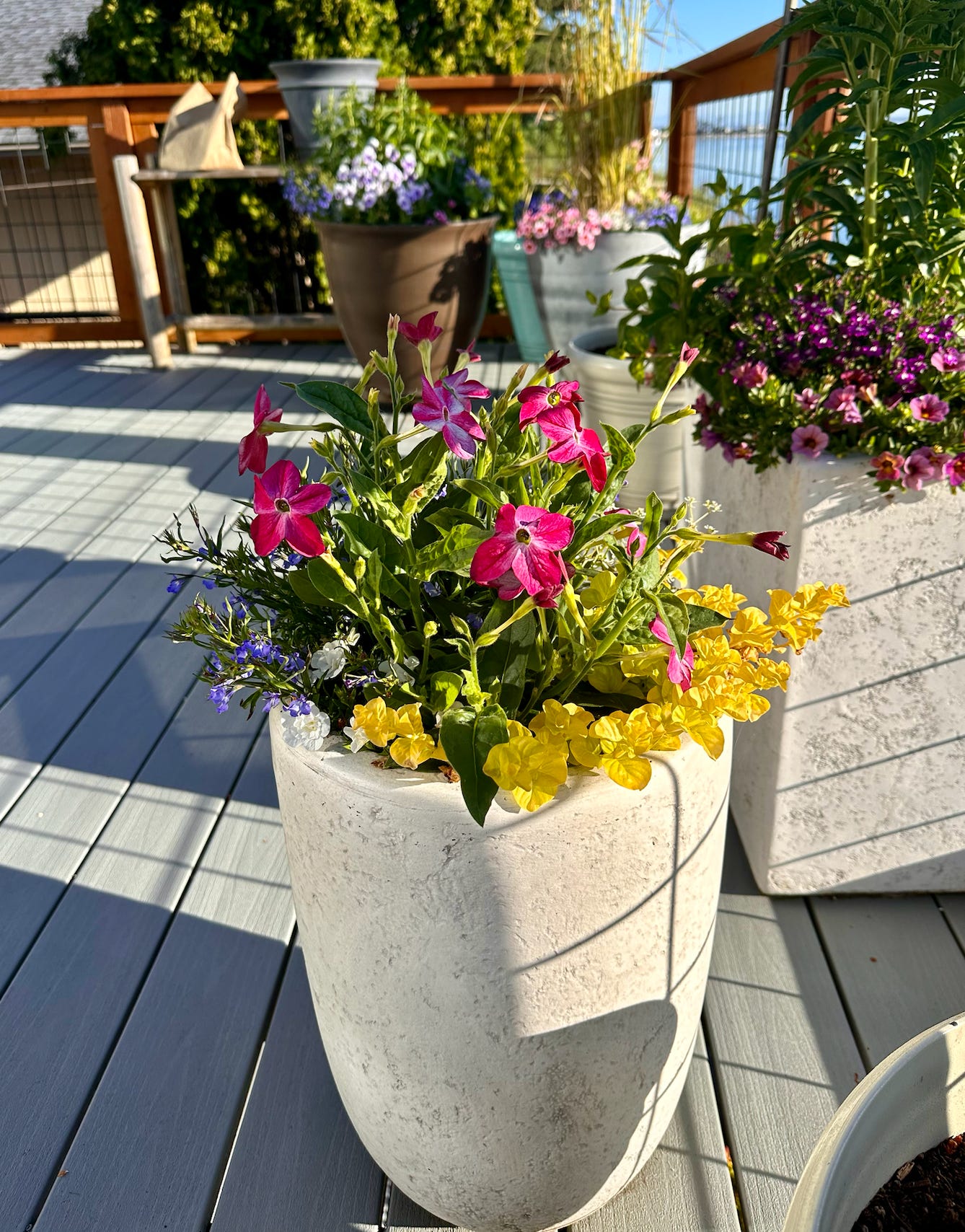 plant pot holders Lakeside Railing Flower Pot Holders for Balcony or Deck 2 Pack