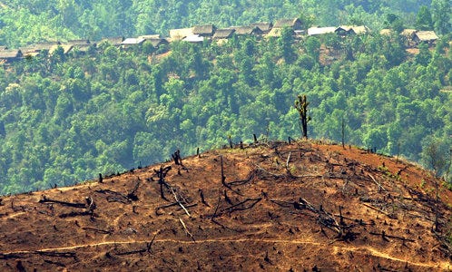 ICC will investigate environmental destruction as well as war crimes |  OpenGlobalRights