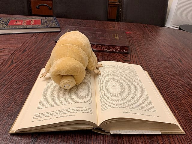 A stuffed tardigrade is placed on top of a book A stuffed tardigrade is placed on top of a book
