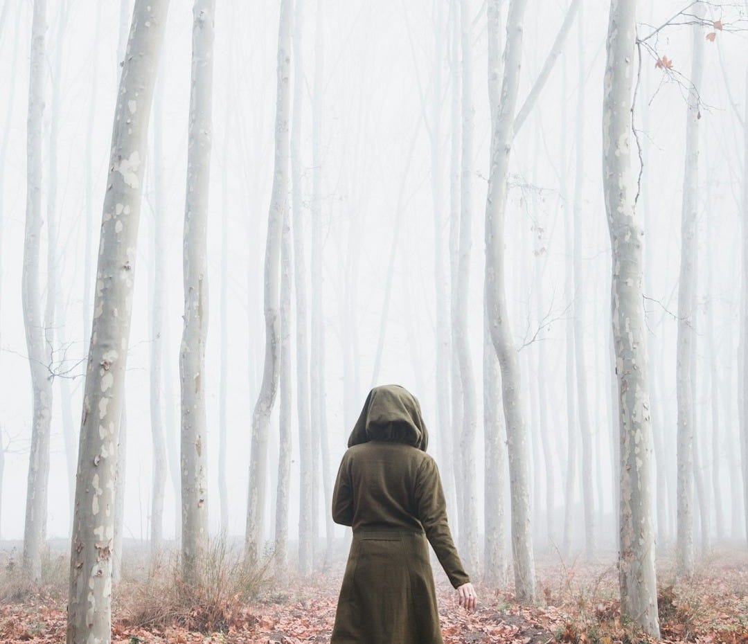 woman near trees woman near trees