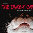 The Crazy Cat Lady: Part One