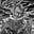 Dwayne's avatar