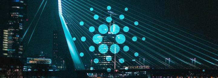 New faces at the Cardano foundation highlight the need for general strategy New faces at the Cardano foundation highlight the need for general strategy
