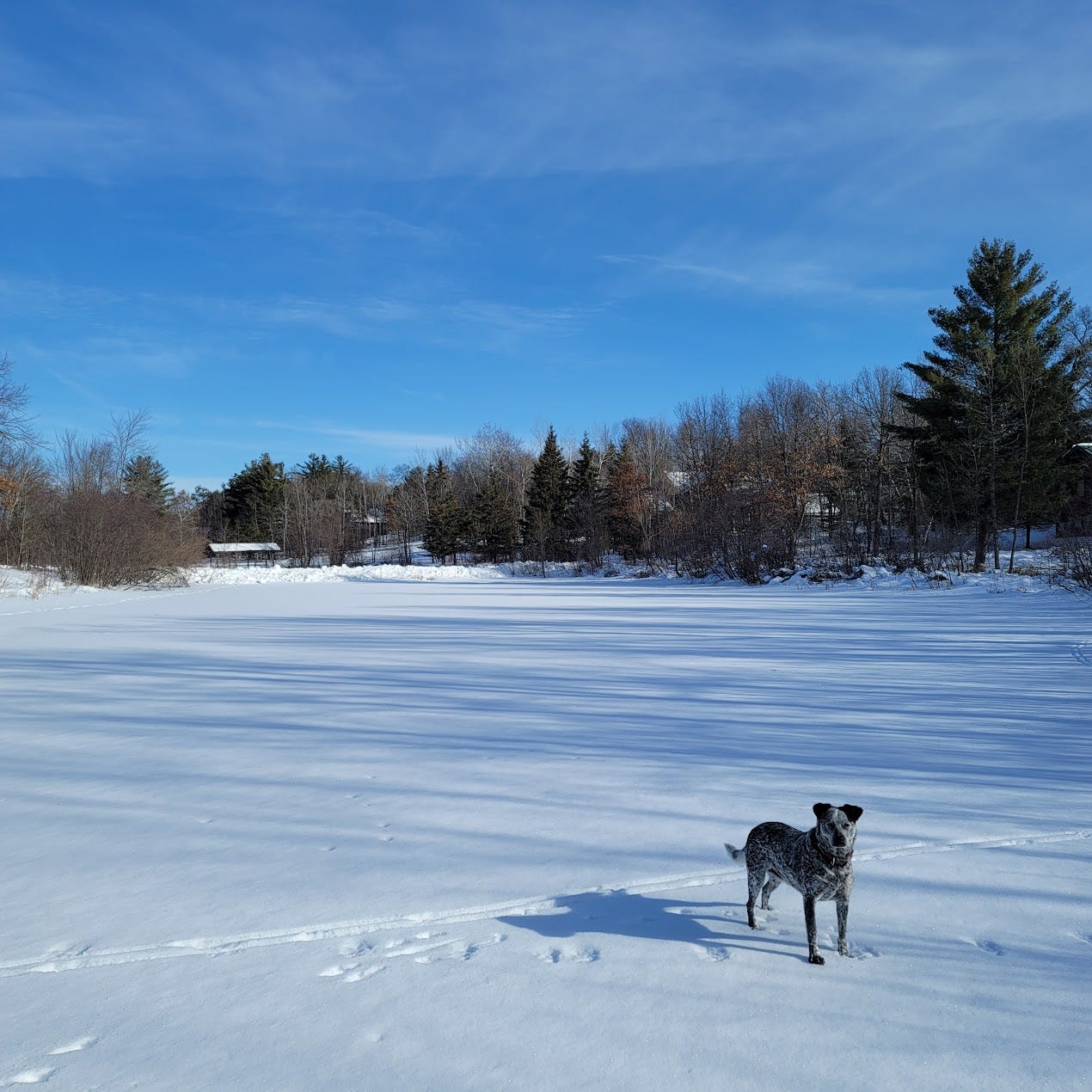 Peering east to the head of the fairway
