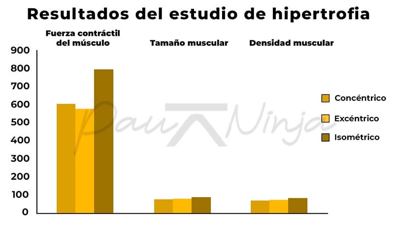 hipertrofia ejercicios isométricos