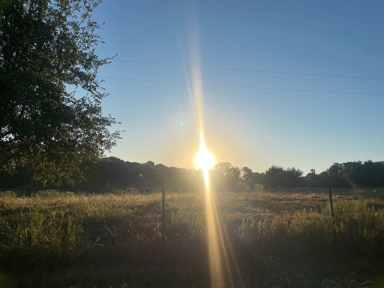 My photo of the amazing sunrise we see at RVICS