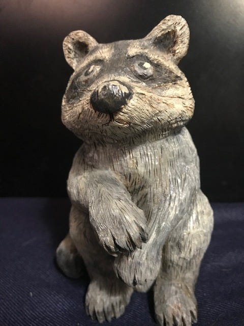 Raccoon by Janet Wolfinger