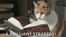 Interesting Strategy GIFs | Tenor