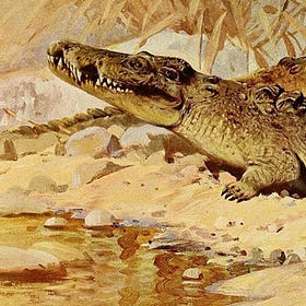 Crocodile Tears and the Conservative Movement