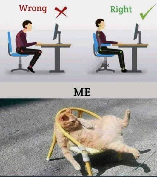 May be an image of 1 person, cat and text
