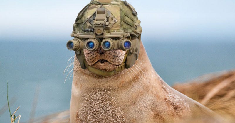 PETA outraged that seals were used to take out bin Laden