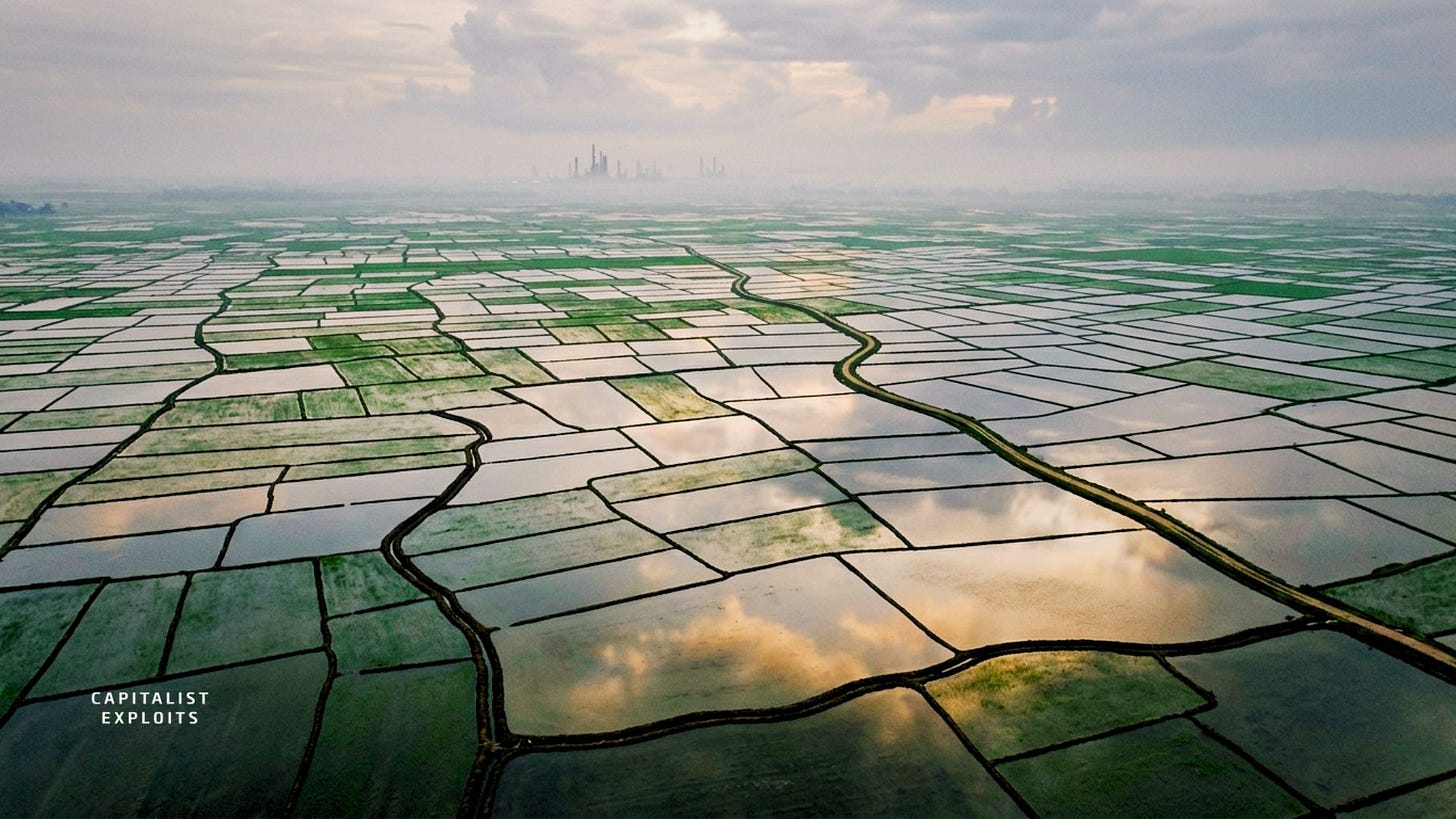 Aerial view of flooded rice paddies creating geometric patchwork landscape pattern