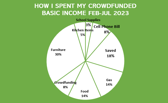 Pie chart shows food at 14%, school supplies at 3%, a cell phone bill at 8%, kitchen items at 5%, saved at 18%, crowdfunding at 8%, furniture at 30%, and gas at 14% for February through July. 