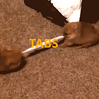 Oh Look, A Random Box In The Yard. Let’s See What’s Inside… WHOA! Tabs, Tues., Feb. 12, 2024