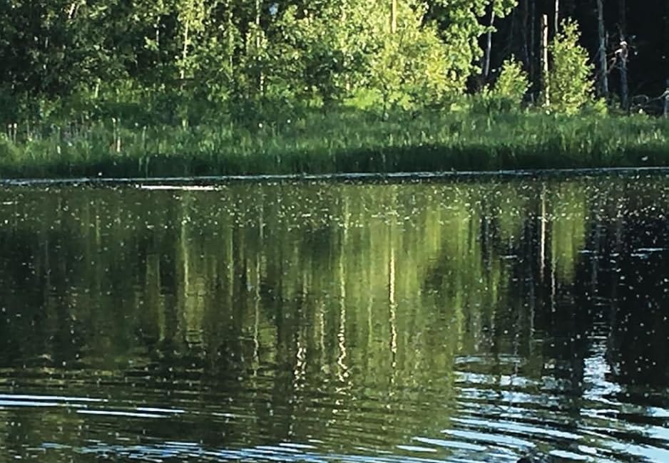 Pond'rings: A Writer's Memoir