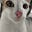SleepyCat's avatar