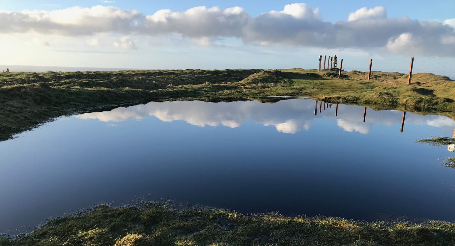 sky reflected in a still pool