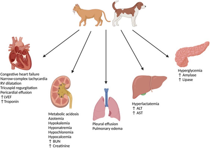 “Toxic effects of minoxidil ingestion or absorption in cats and dogs.” 