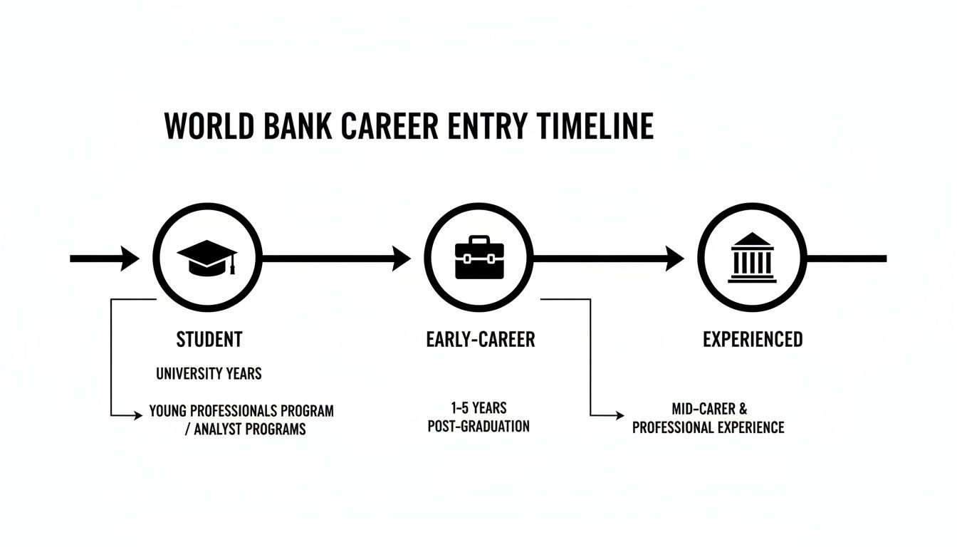World Bank career entry timeline illustrating paths for students, early-career, and experienced professionals.
