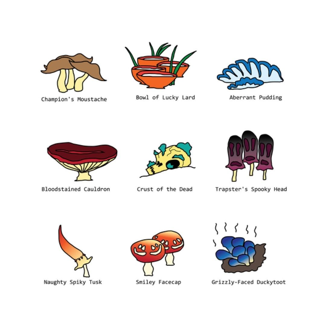 Set of illustrated fantasy mushrooms with humorous names.