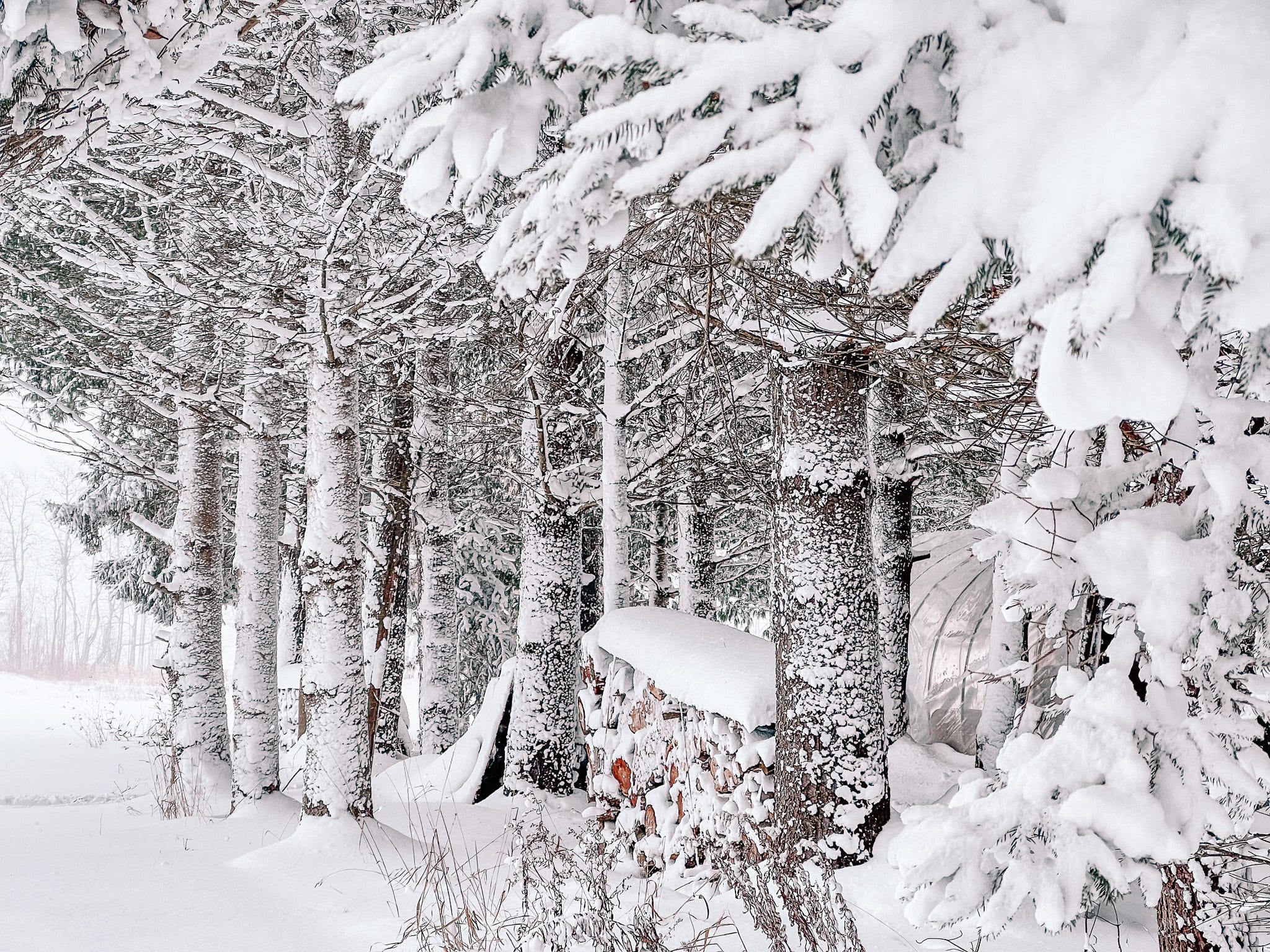 Epic Star Wars Stormtrooper HD Wallpaper: Galactic Guardian in Focus, image size:2048x1536