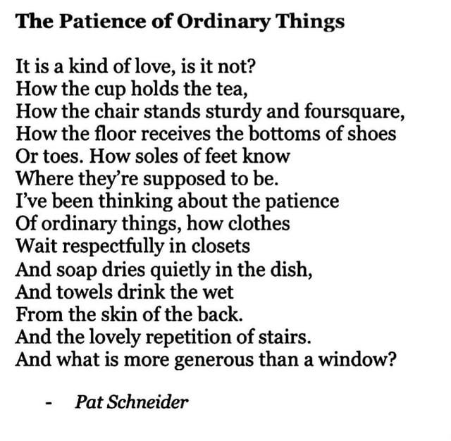 The Patience of Ordinary Things by Pat Schneider