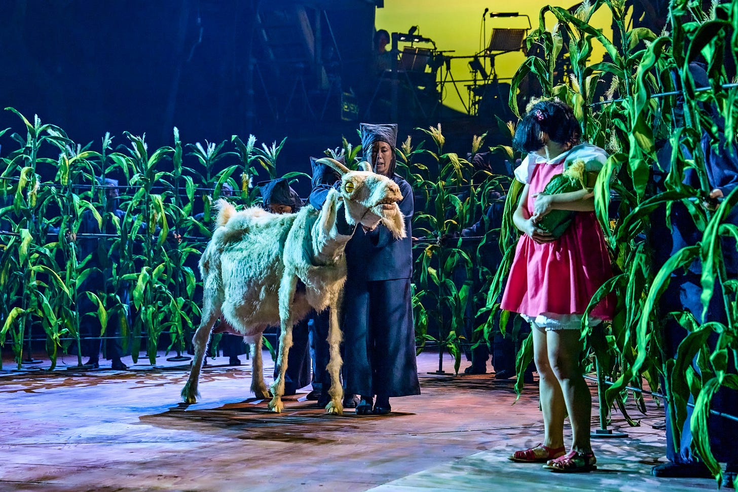 How we made My Neighbour Totoro's jaw-dropping puppets: 'You have to want  to jump on his belly'