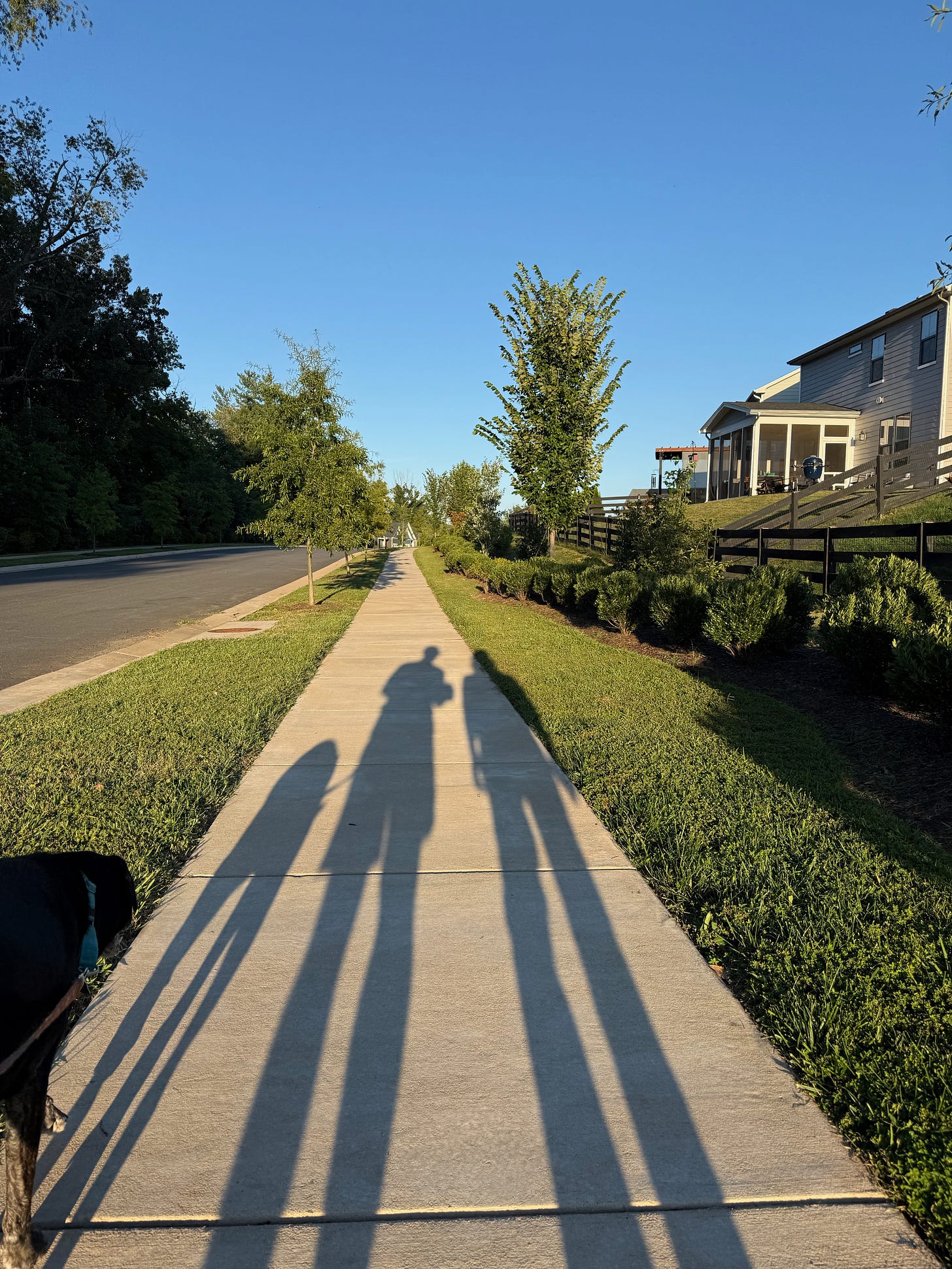 Shadow on a sidewalk - from left to right - dog, me, my wife