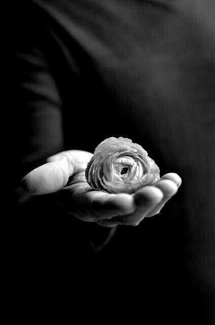 May be a black-and-white image of flower May be a black-and-white image of flower