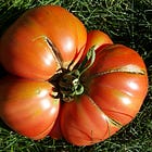 Heirloom Tomato Varieties