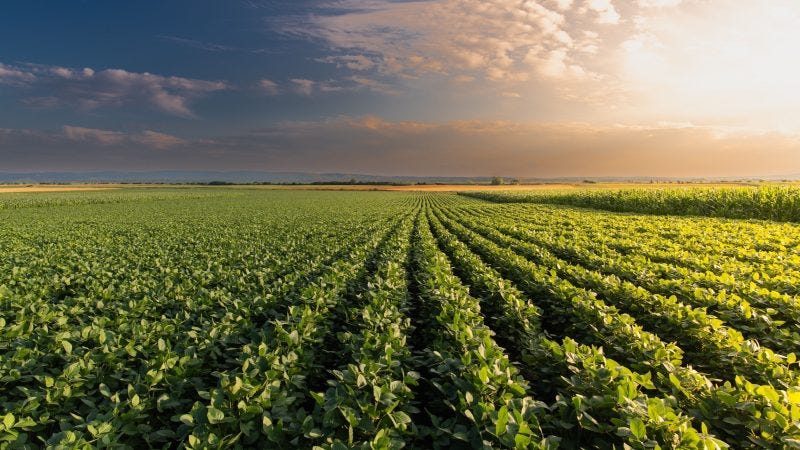 The Food Emancipation Proclamation The Food Emancipation Proclamation