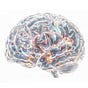 Neural Foundry's avatar
