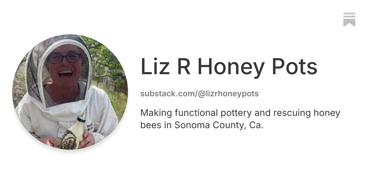 Liz R Honey Pots | Substack
