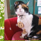 A stray cat, a stationmaster, then a god