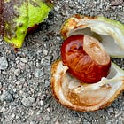 The Sensual Pleasure of Everyday Life