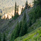 Five Things Running: Issue #170