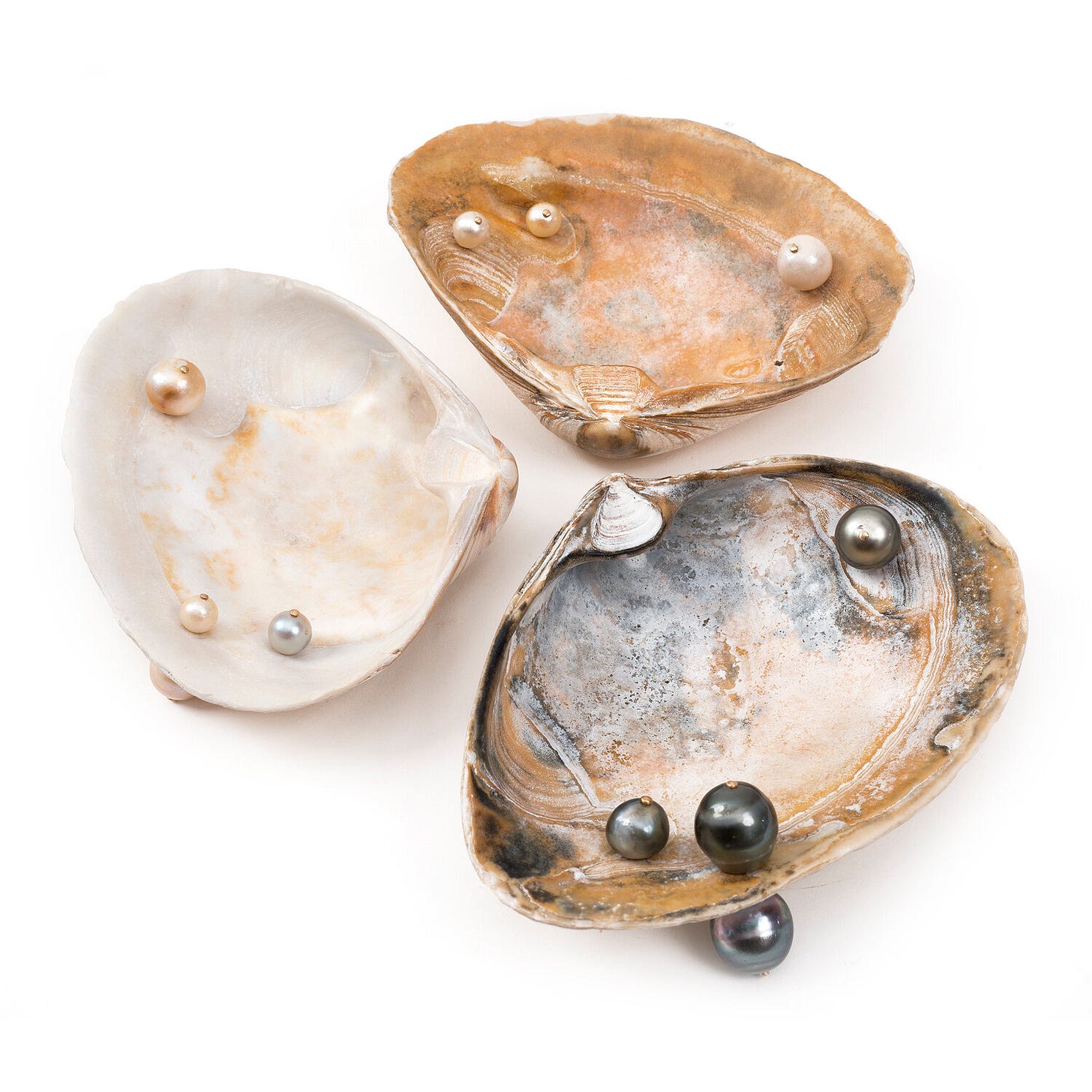 3PearlShells.jpg