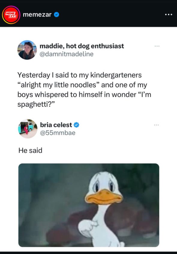 spaghetti duck meme spaghetti duck meme