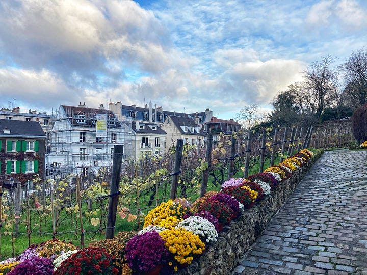 Montmartre vineyard before and after