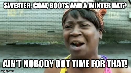 I don't like the cold. - Imgflip