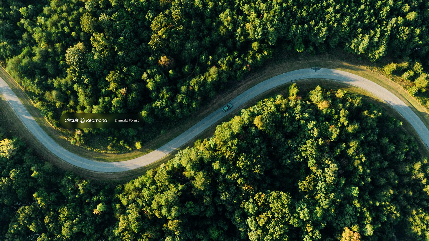 Circuit car, drone view, forest road