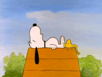 Napc GIFs - Find & Share on GIPHY