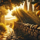 Tra gli alberi dei limoni 🍋