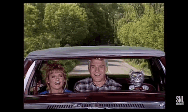 https://i0.wp.com/media.tenor.com/ensuAfa9C2gAAAAd/toonces-the-driving-cat-drivers-test.gif?w=800&ssl=1