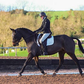 Storm Bert fails to stop dressage at Lusk’s