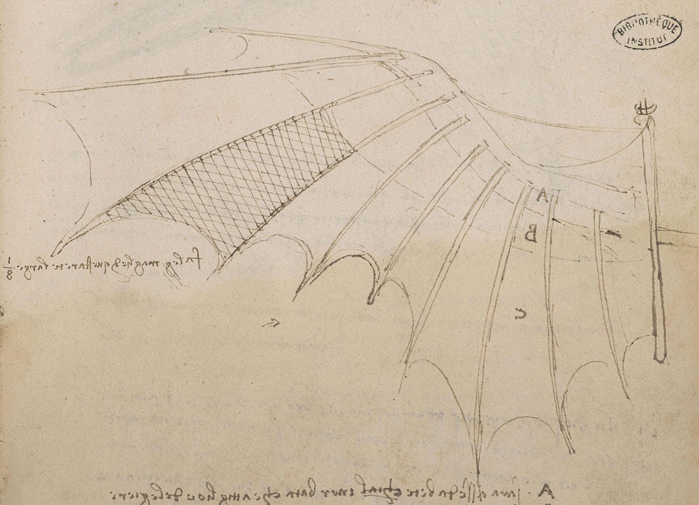 Bird like flying machine da Vinci