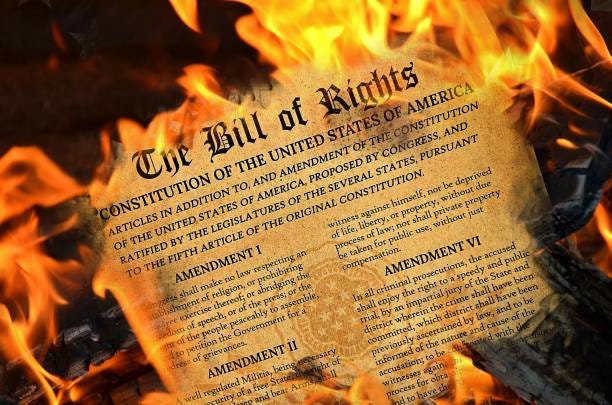50+ Bill Of Rights On Fire Stock Photos, Pictures & Royalty-Free Images -  iStock