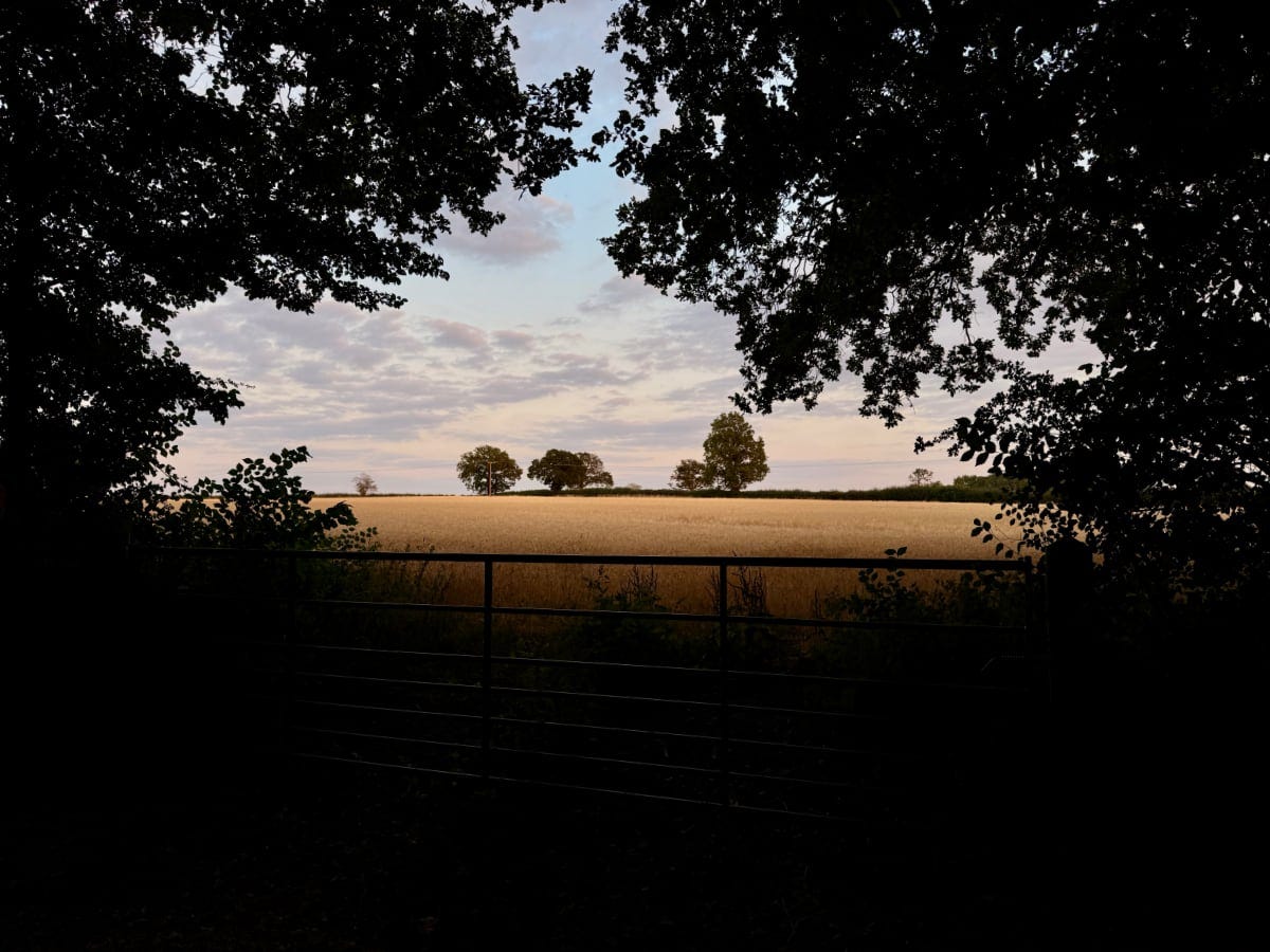 A late in the day scene over a fence looking at a field framed by trees.