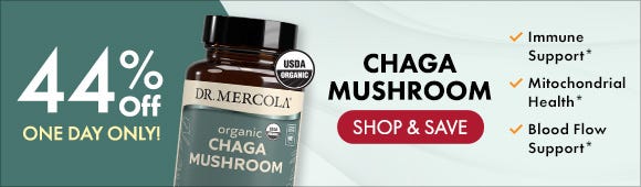 Get 44% Off on Chaga Mushroom